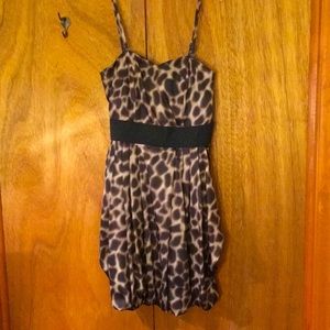 H&M Leopard Print Summer Dress